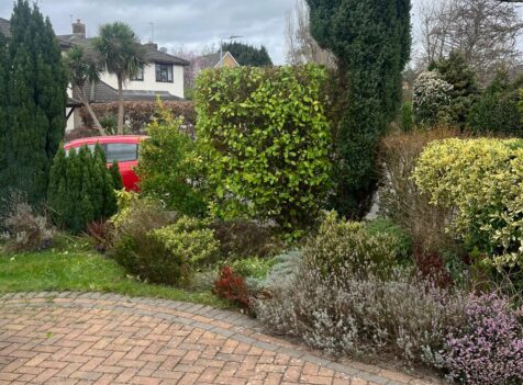 Professional tree care and tree maintenance services in Marshfield