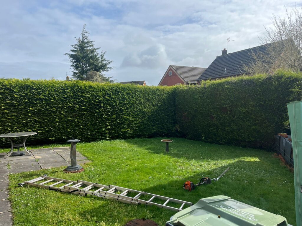 Hedge trimmed Caldicot