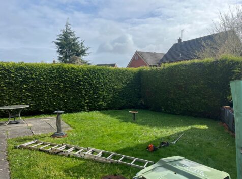 Hedge trimmed Caldicot