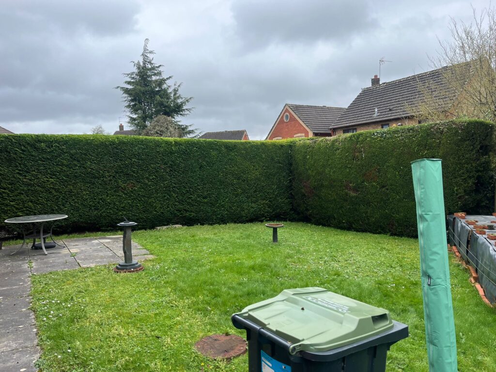 Hedge trimmed Caldicot