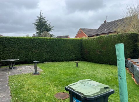 Hedge Trimming Services in Pontcynon