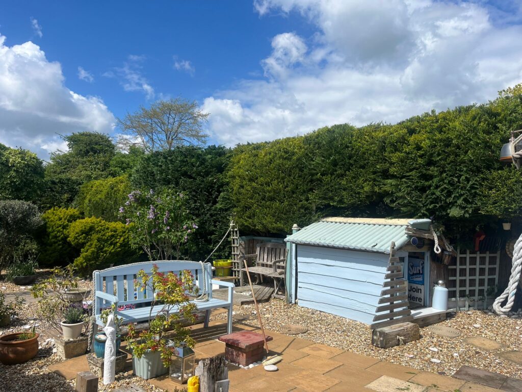 Hedge Maintenance Services in Undy