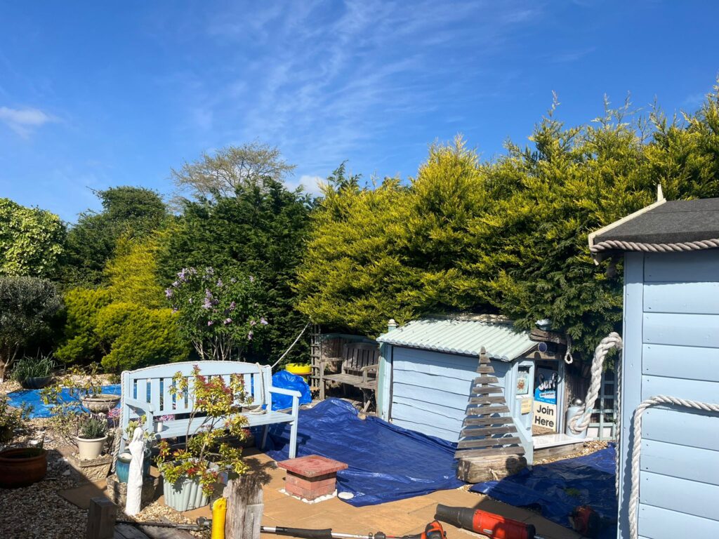 Hedge Maintenance Services in Undy