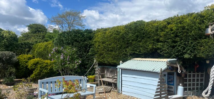 Hedge Maintenance Services in Undy