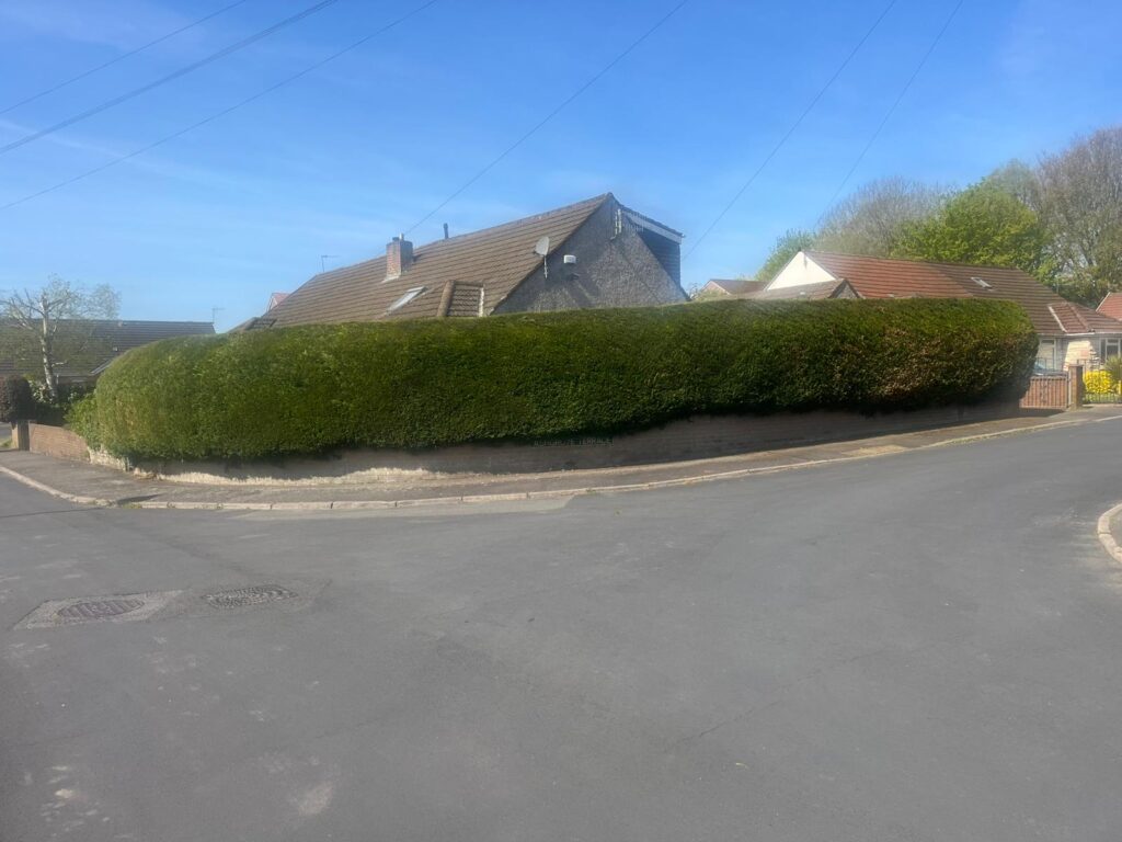 hedge cutting Nelson