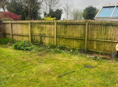 Hedge Tree Removal In Cowbridge