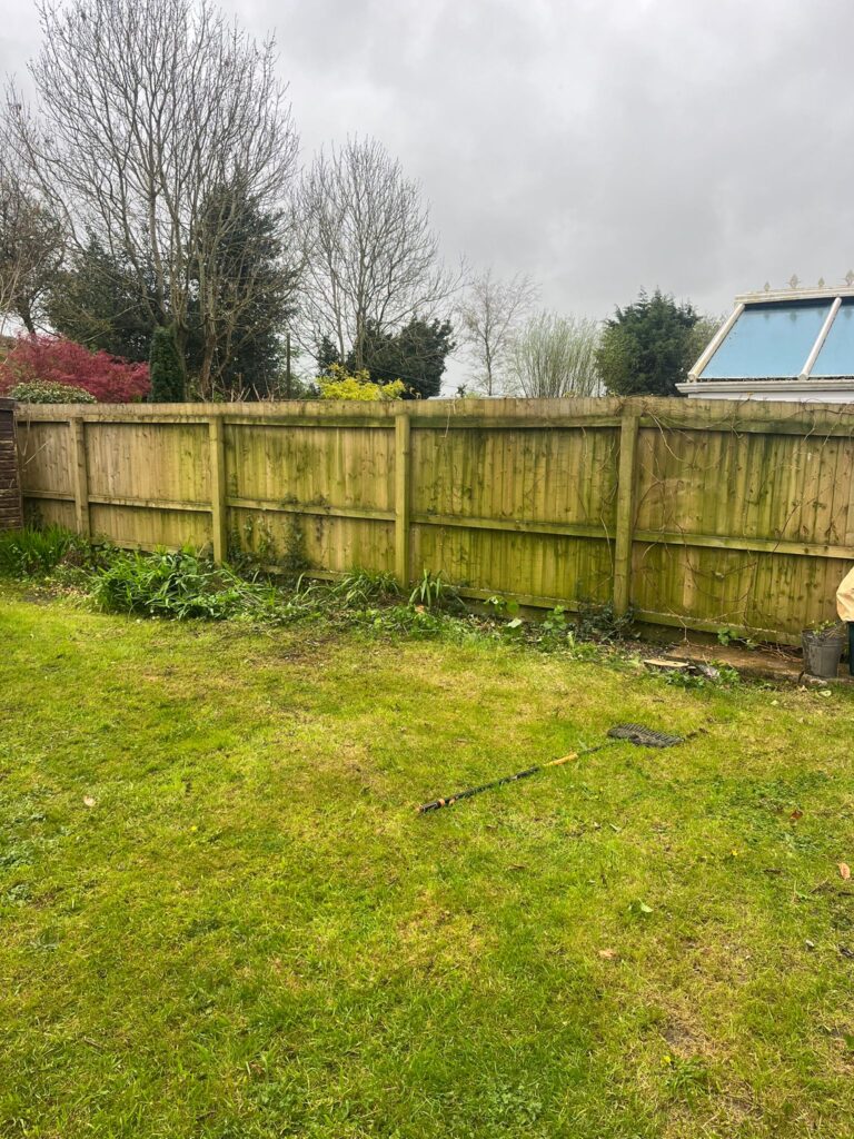 Hedge Tree Removal In Cowbridge