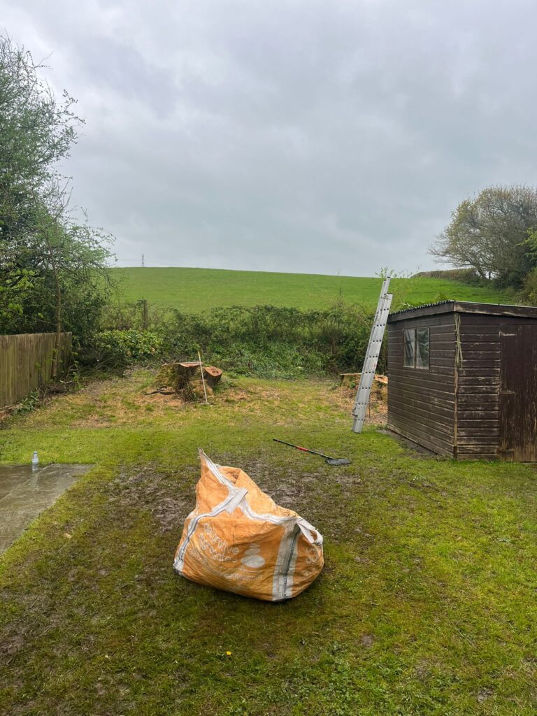 Hedge Tree Removal In Cowbridge