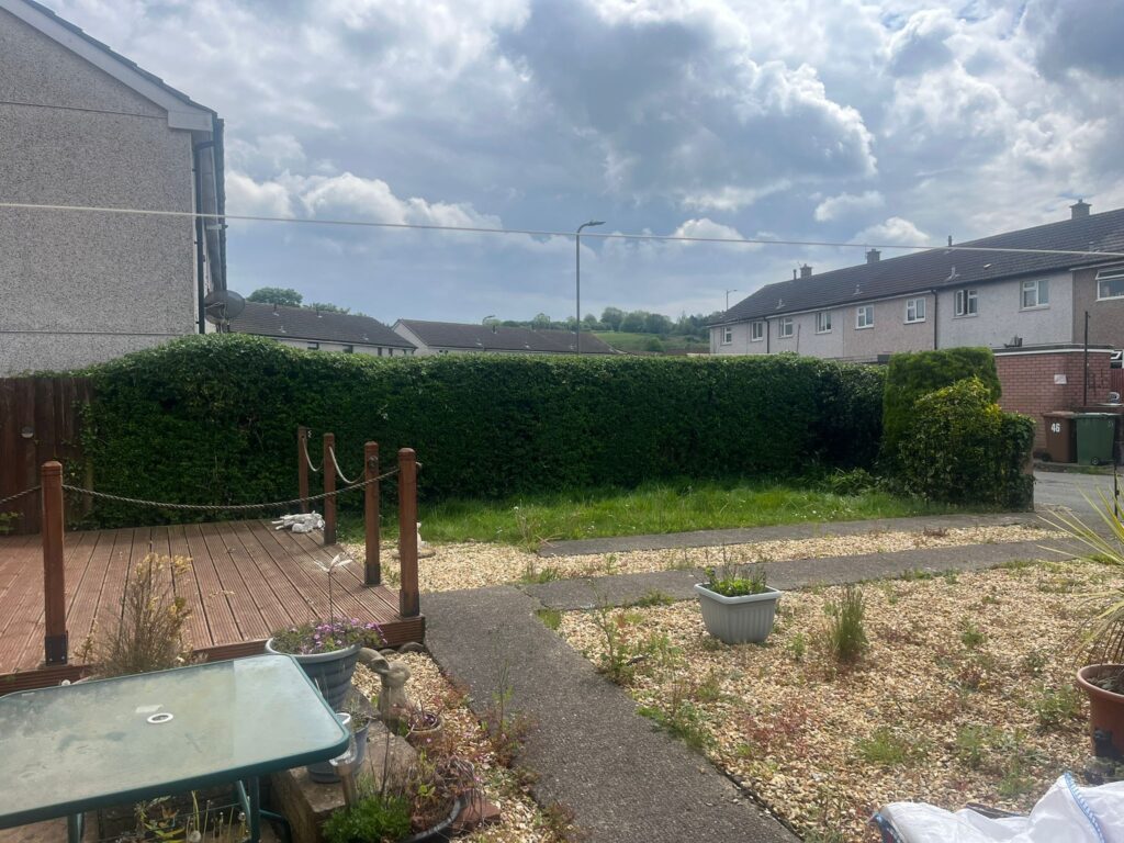 Hedge Maintenance Caerphilly