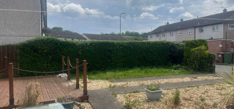 Hedge Maintenance Caerphilly