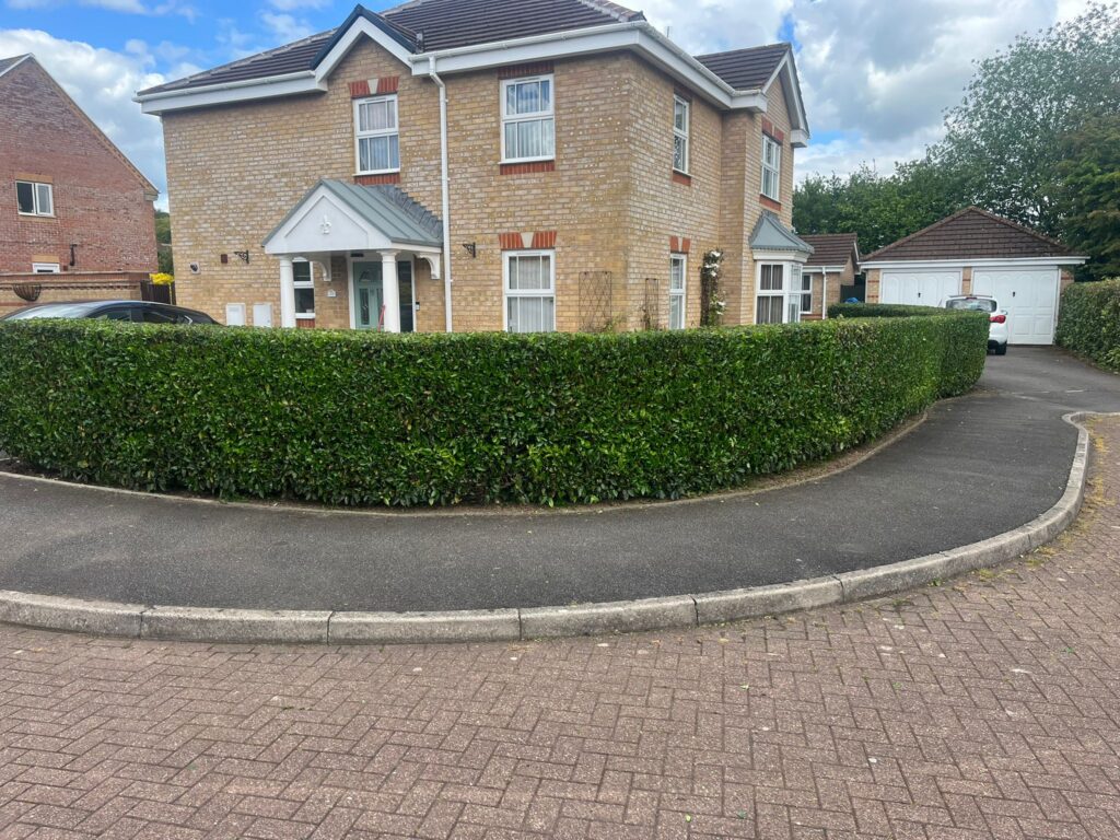 Hedge trimming in Langstone