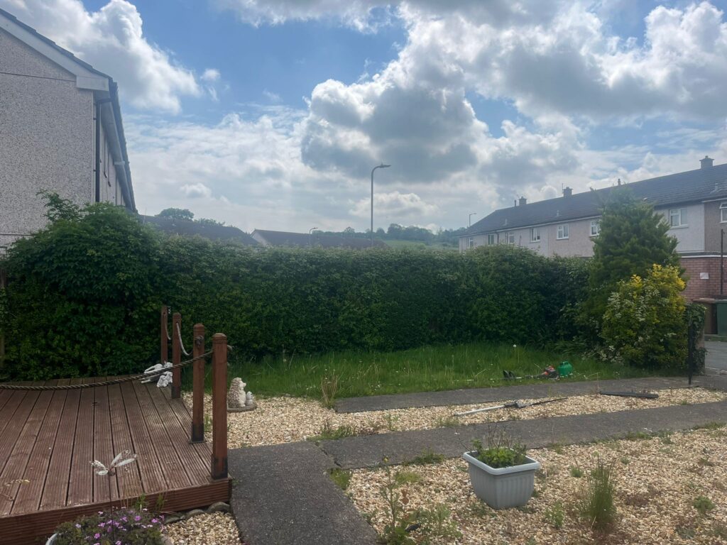 Professional Hedge Maintenance Caerphilly