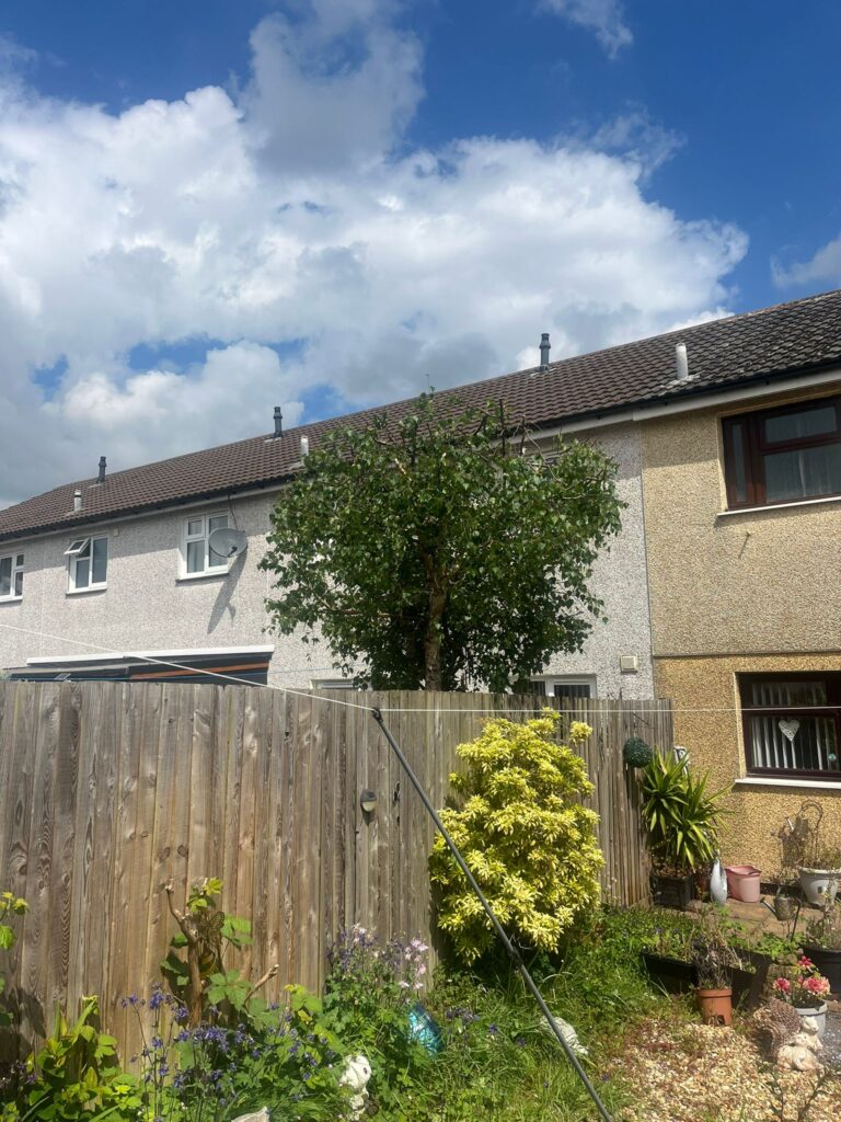 Professional Hedge Maintenance Caerphilly