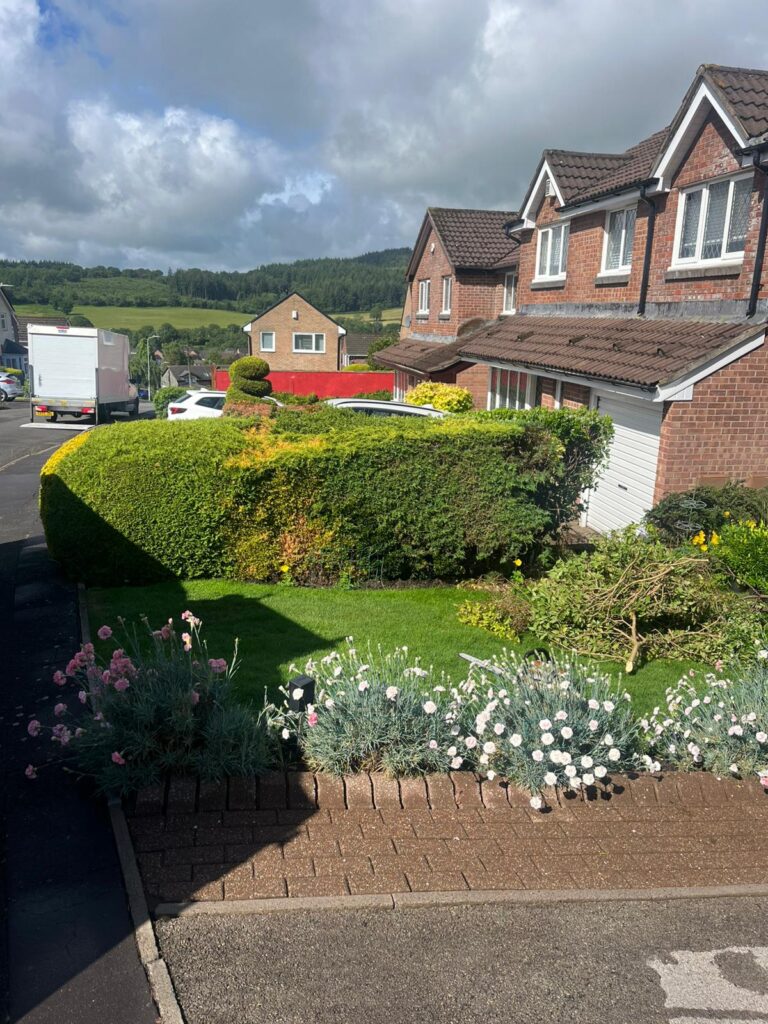 Hedge Trimming Services in Pontcynon