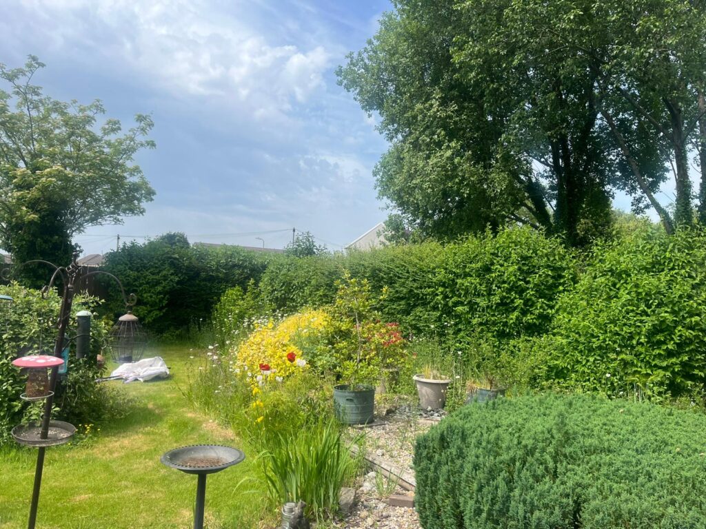 hedge cutting Hengoed