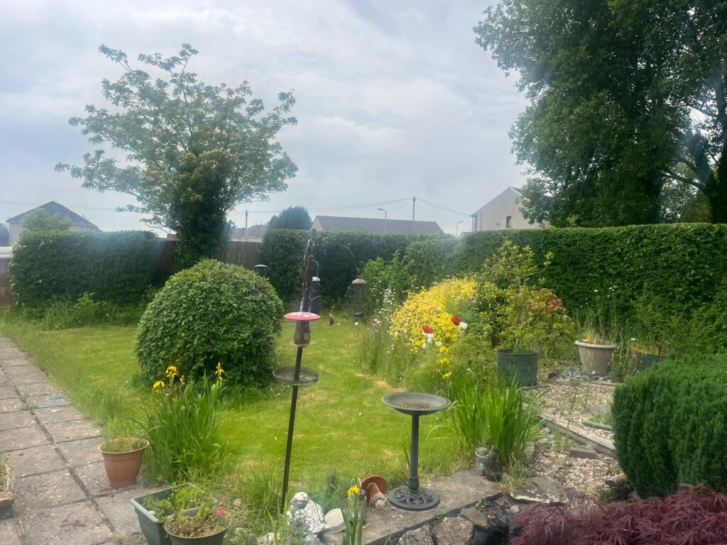 hedge cutting Hengoed