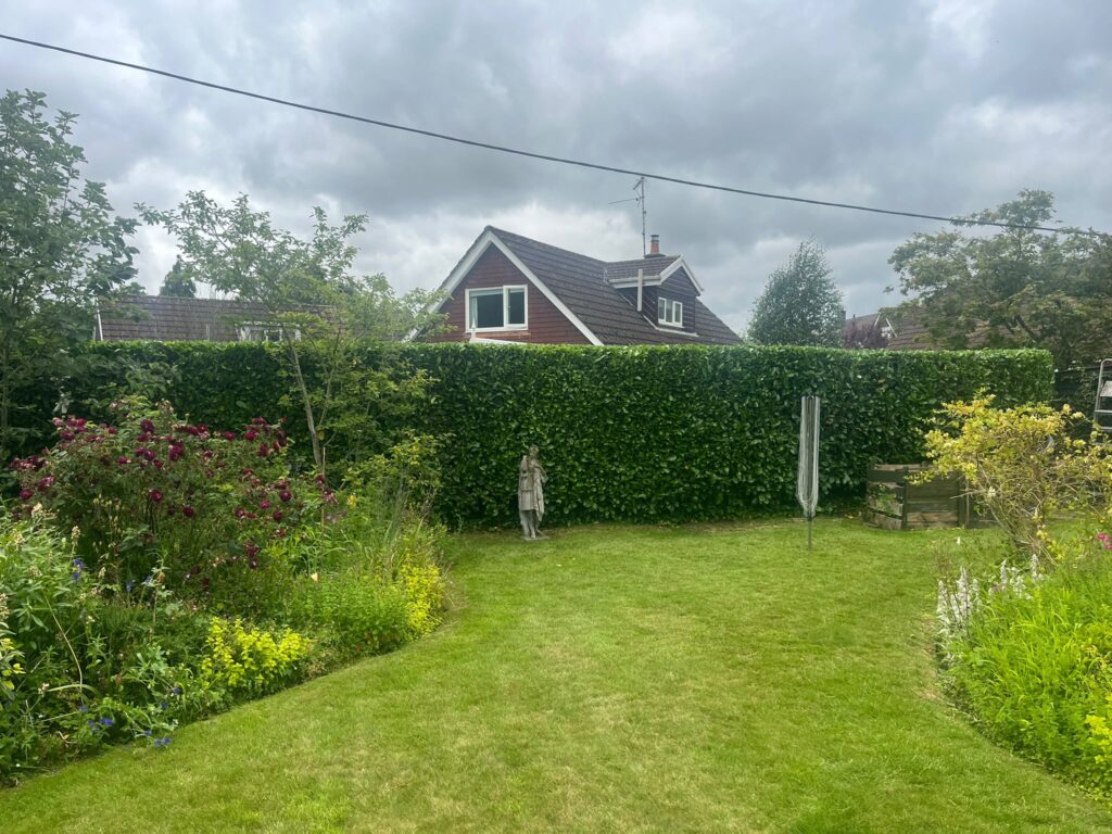 hedge cutting in Raglan
