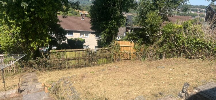 Garden clearance Bassaleg