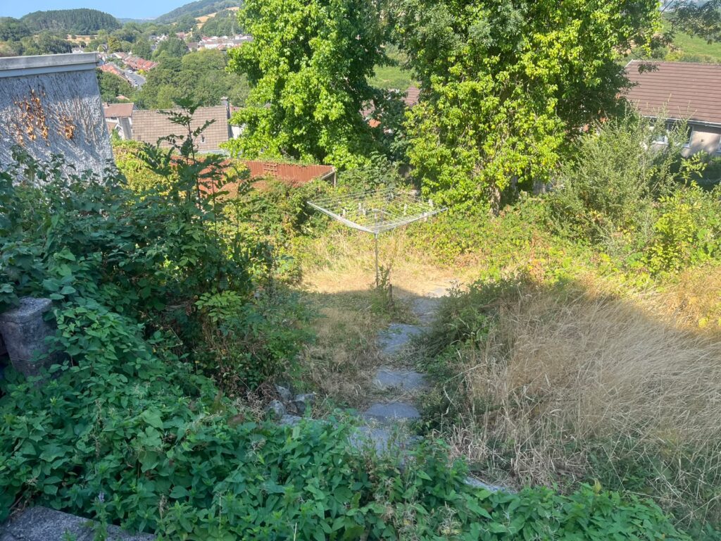 Garden clearance Bassaleg