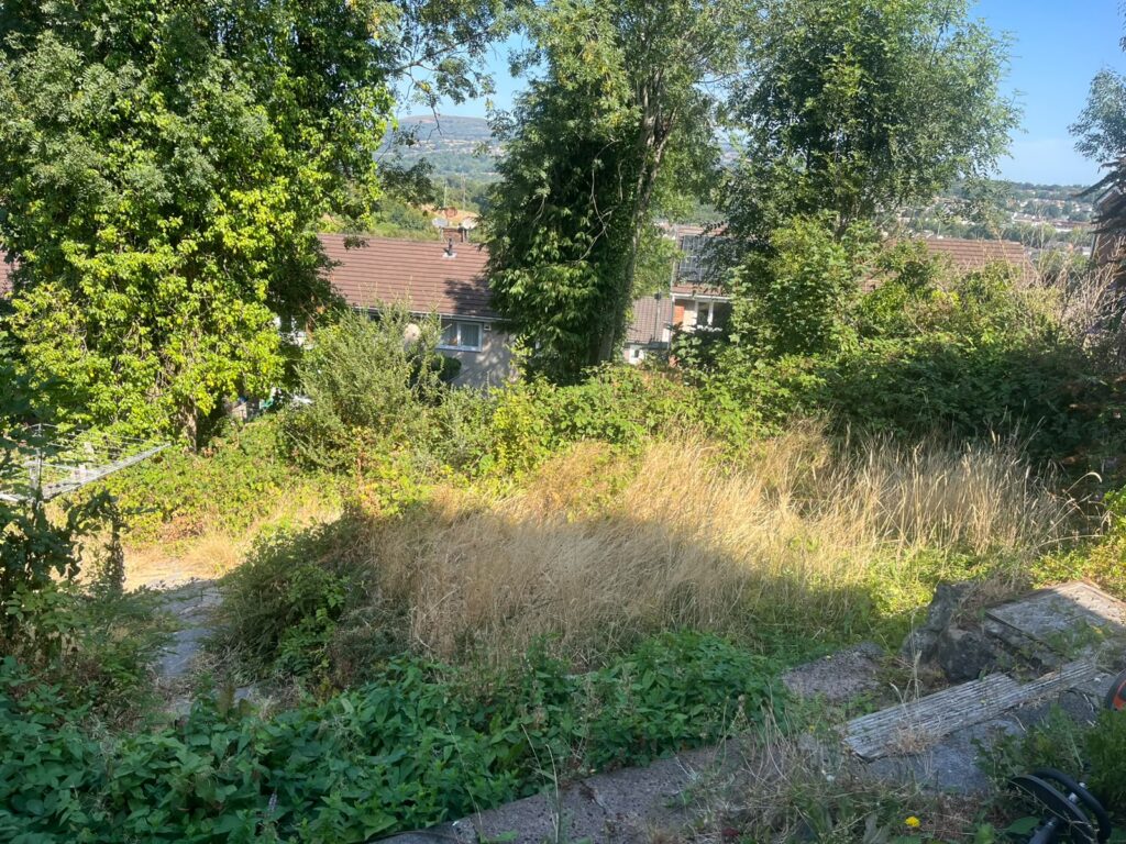 Garden clearance Bassaleg