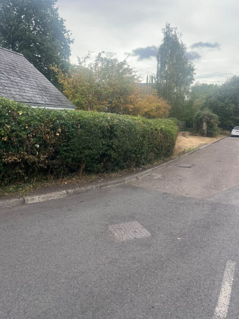 hedge cutting usk
