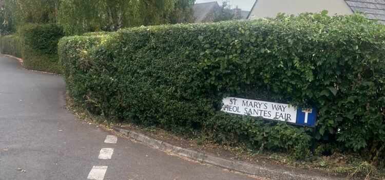 hedge cutting Services usk