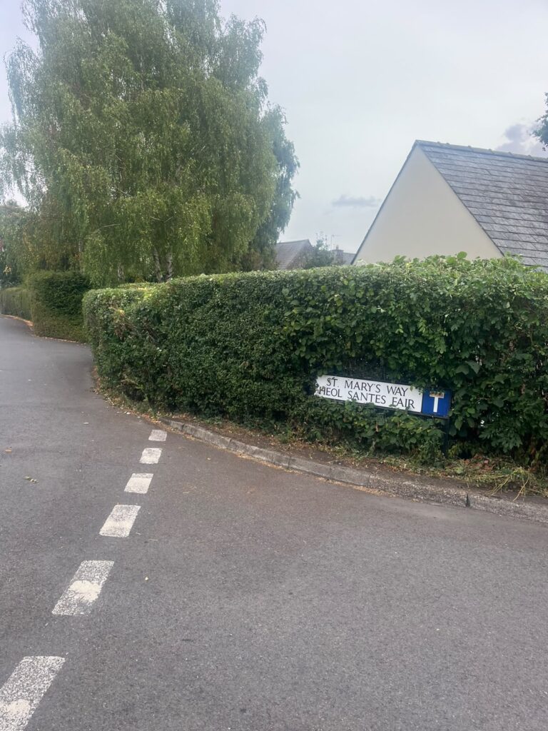hedge cutting usk