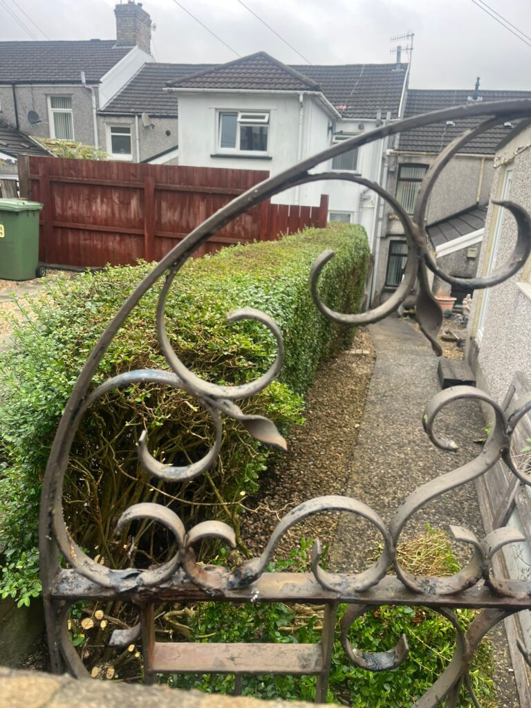 Hedge and stumps removed fence erected