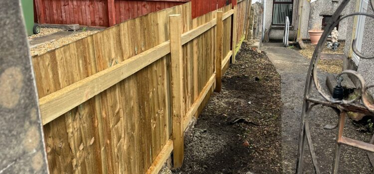 Hedge removed fence erected in Pontypool