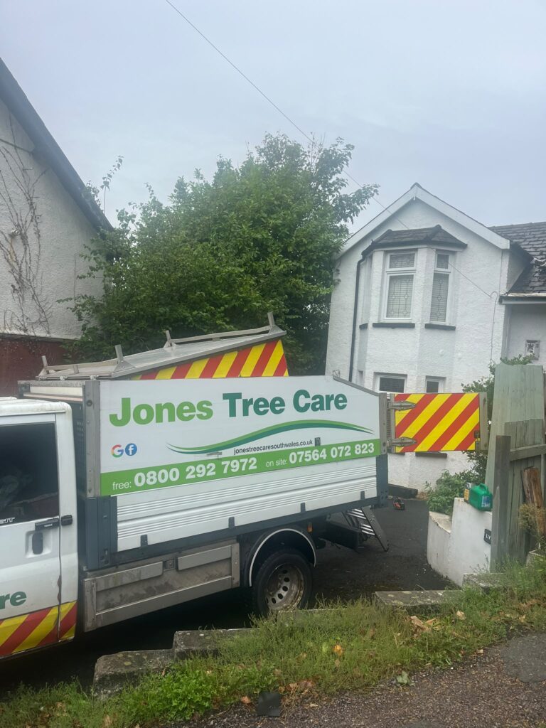 hedge reduction Pontypool