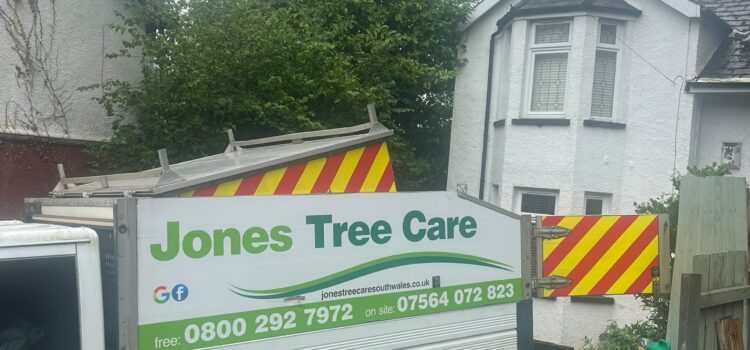 hedge reduction Pontypool