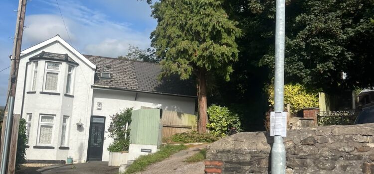 Large Tree Removal Pontypool