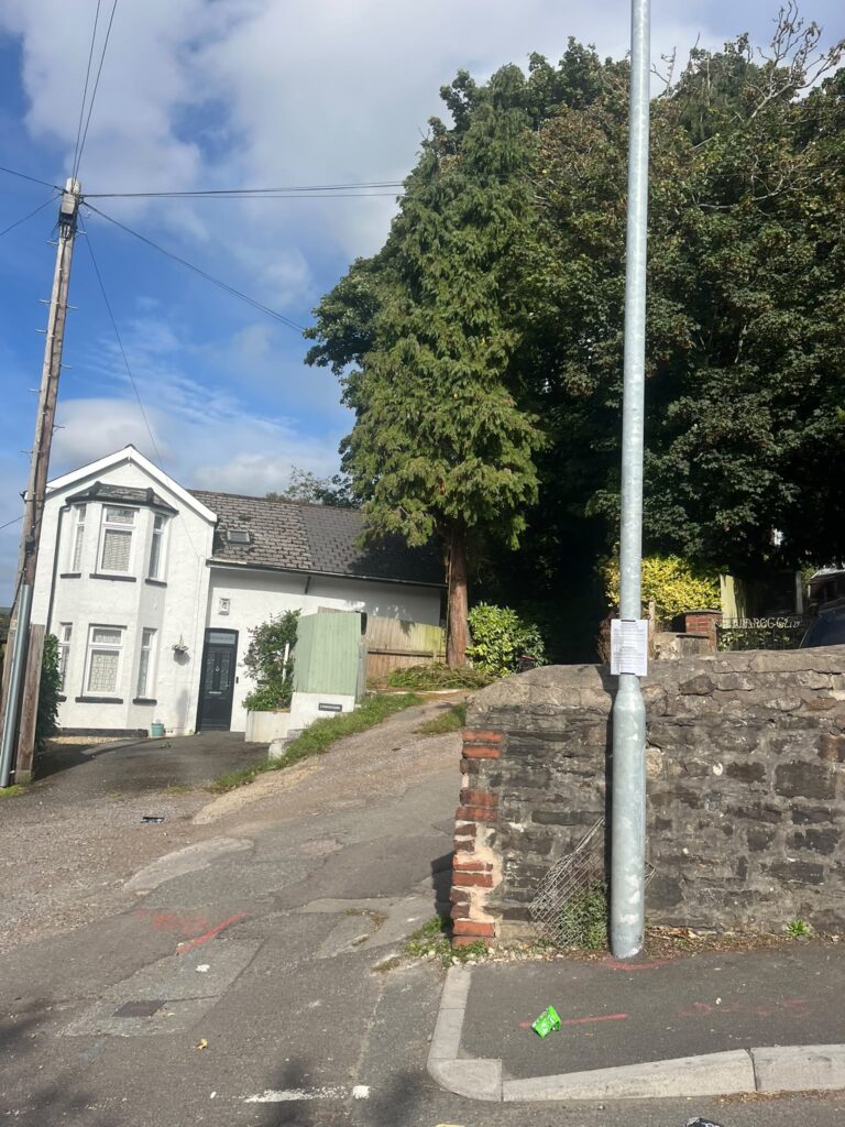 Large Tree Removal Pontypool