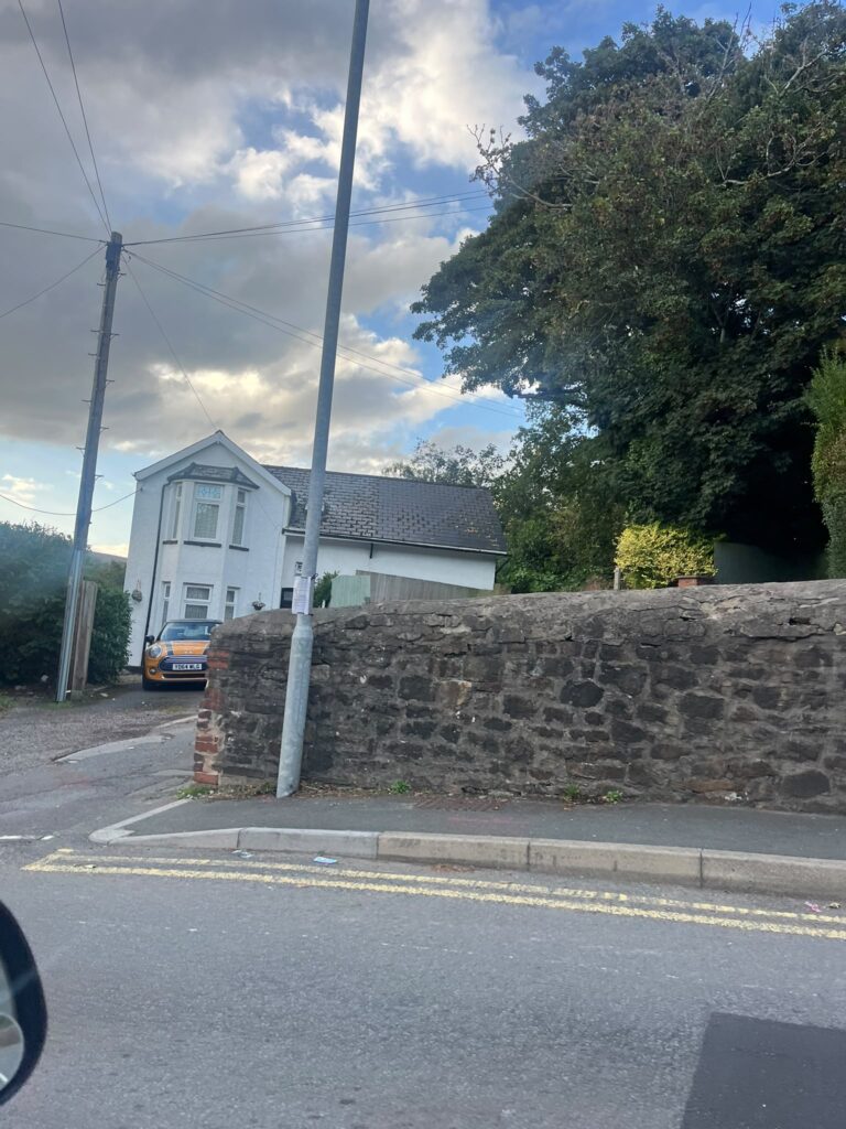 tree removal pontypool